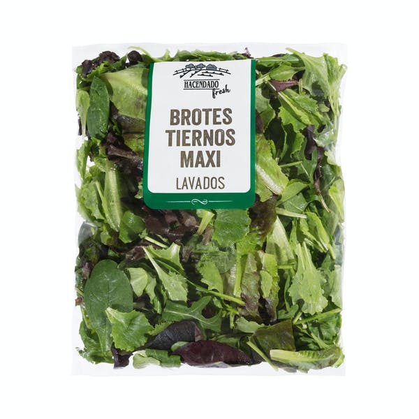 Ensalada mezcla brotes tiernos maxi Mercadona