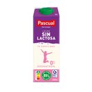 PASCUAL leche desnatada sin lactosa envase 1 lt del Dia