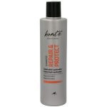 BONTE champú repair&protect cabellos frágiles/quebradizos bote 400 ml del Dia