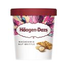 HAAGEN DAZS helado vainilla macadamia tarrina 400 gr del Dia