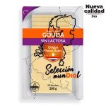 DIA SELECCIÓN MUNDIAL queso gouda holandés sin lactosa en lonchas sobre 200 gr del Dia