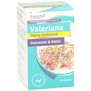 VIVISIMA+ valeriana envase 50 capsulas del Dia