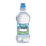 DIA agua mineral natural botella 33 cl del Dia