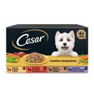 CESAR Selección especial alimento para perros completo multipack 4 x 150 gr del Dia